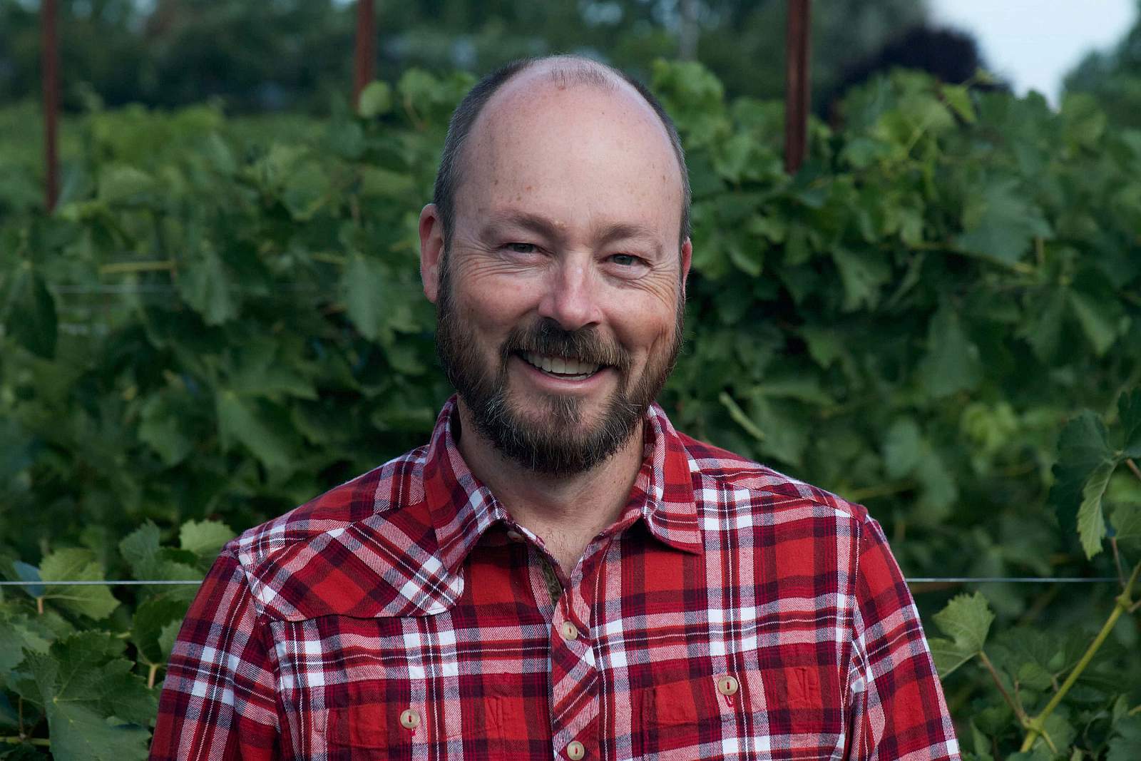 Chris Dowsett, Winemaker